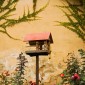 Bird House by Site Administrator