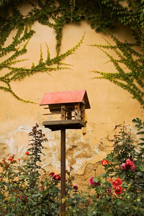 Bird House, an art piece by Anait Boyajyan
